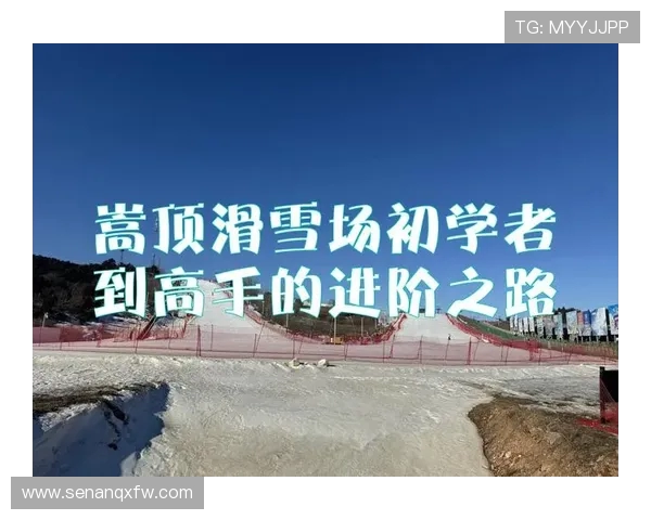 张强畅谈飞盘之路：从初学者到竞技高手的成长历程